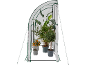 Tunnelkas met potplanten, waaronder citrus, palm en oleander.