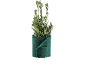 Laurierplant in een groene, vilten pot.