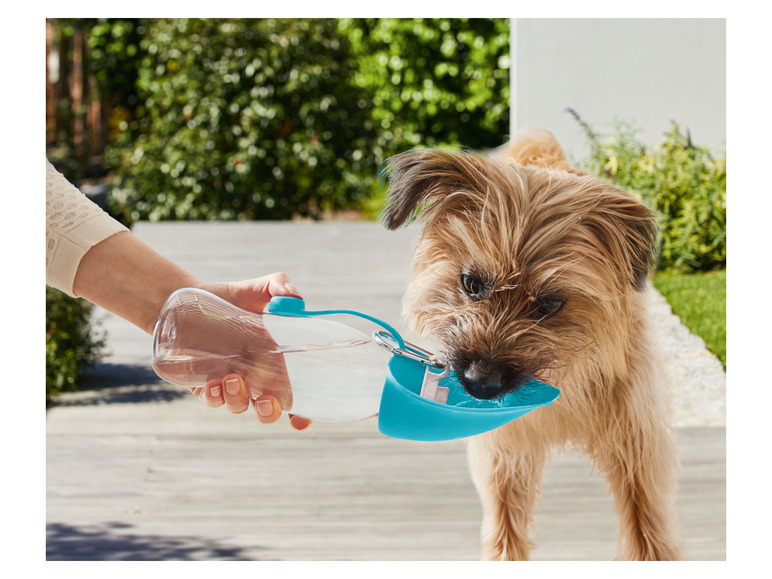 Een hond drinkt water uit een blauwe drinkfles voor huisdieren.