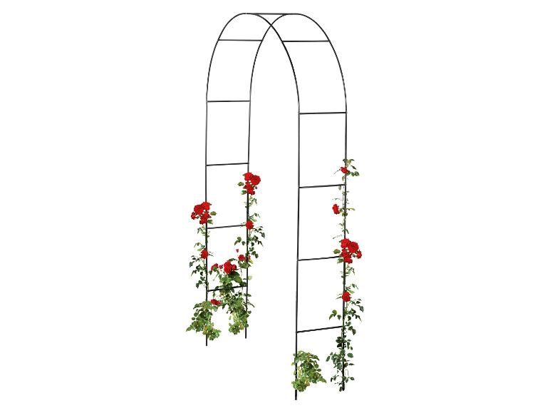 Zwarte rozenboog met rode klimrozen.