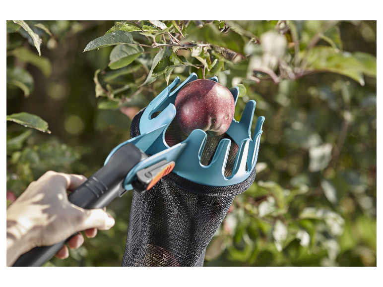 Appelplukker in gebruik in een fruitboomgaard.