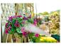 Hangende petunia's water geven in een pot met een groen slangpistool.