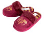 Rode Harry Potter pantoffels met gouden logo.