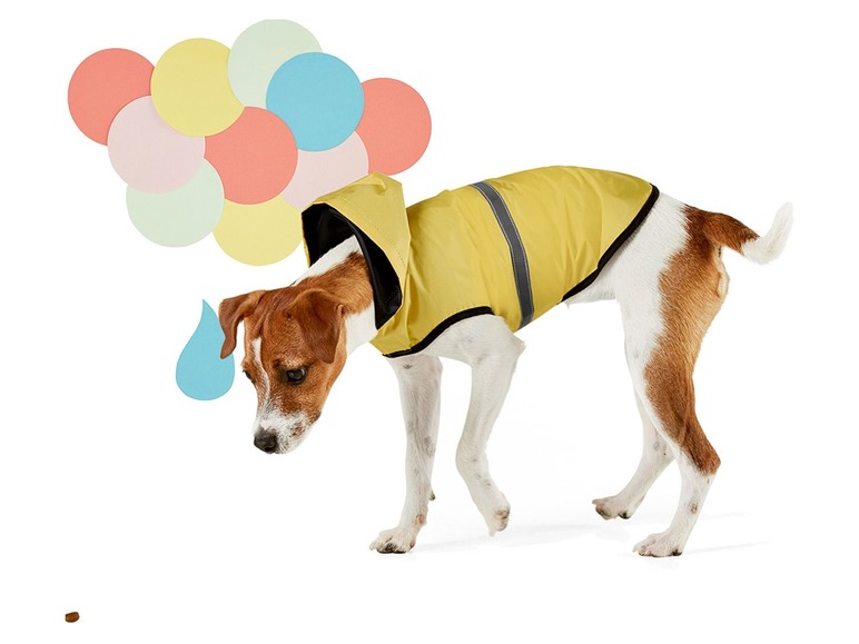 Ga naar volledige schermweergave: Hondenregenjas - afbeelding 11