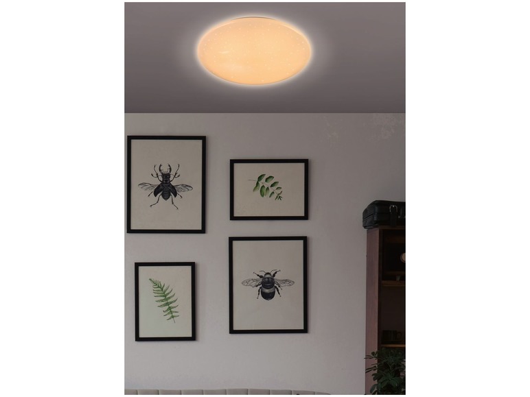 Ga naar volledige schermweergave: LIVARNO LUX® LED-plafondlamp met kleurwissels - afbeelding 9