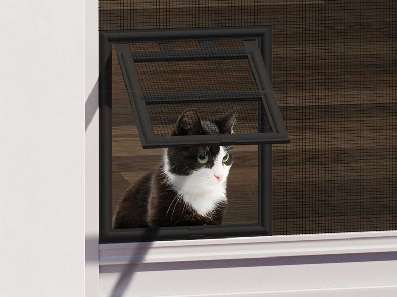 Ga naar volledige schermweergave: wip Kattenluik voor vliegendeur 20 x 25 - afbeelding 1