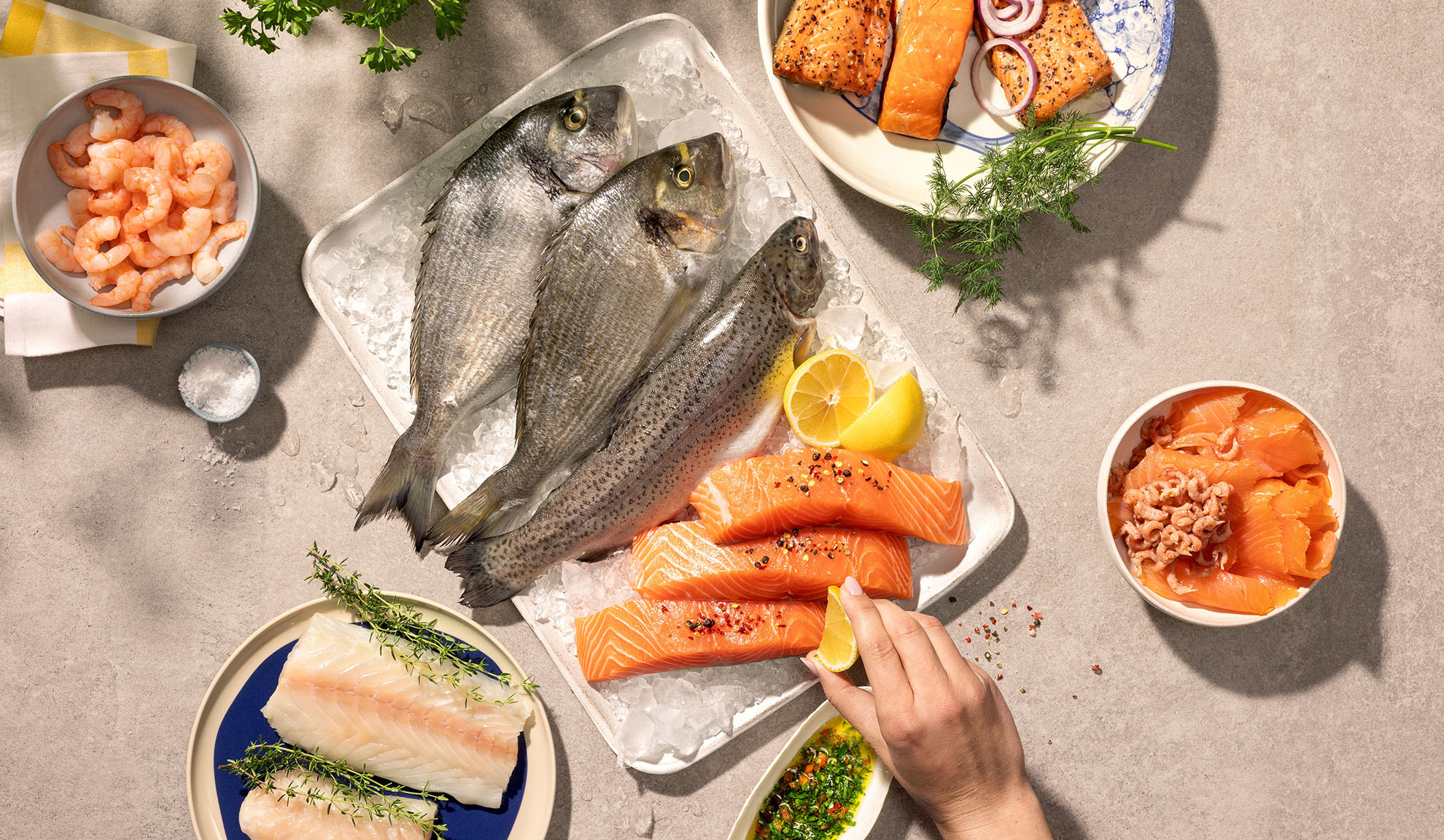 Diverse verse zeevruchten, waaronder vis, zalm en garnalen, klaar om te koken.