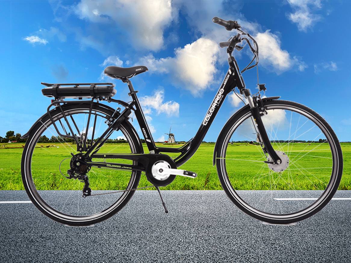 Welke elektrische fiets past bij jou?