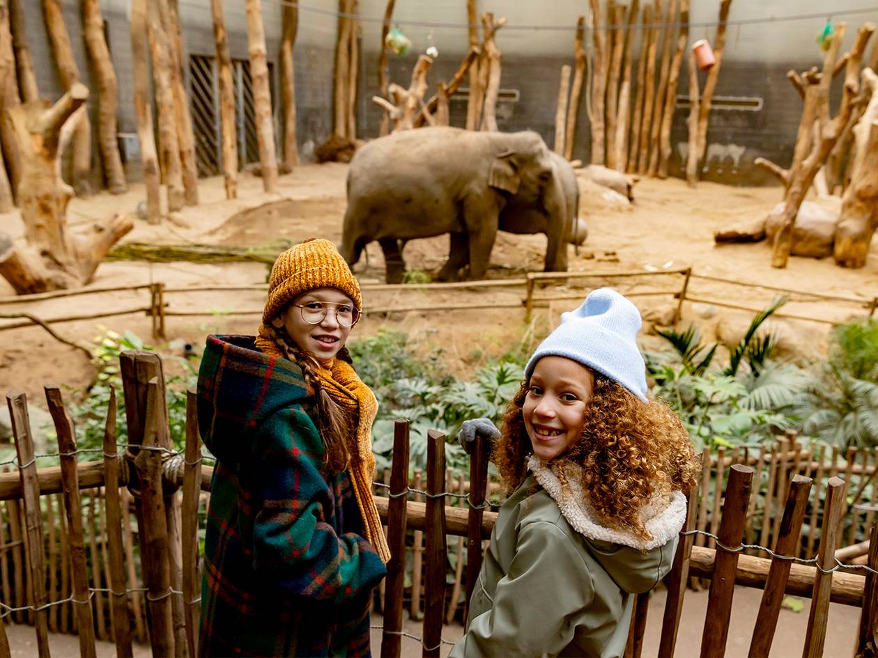 Twee meisjes in winterkleding kijken naar olifanten in een dierentuin.