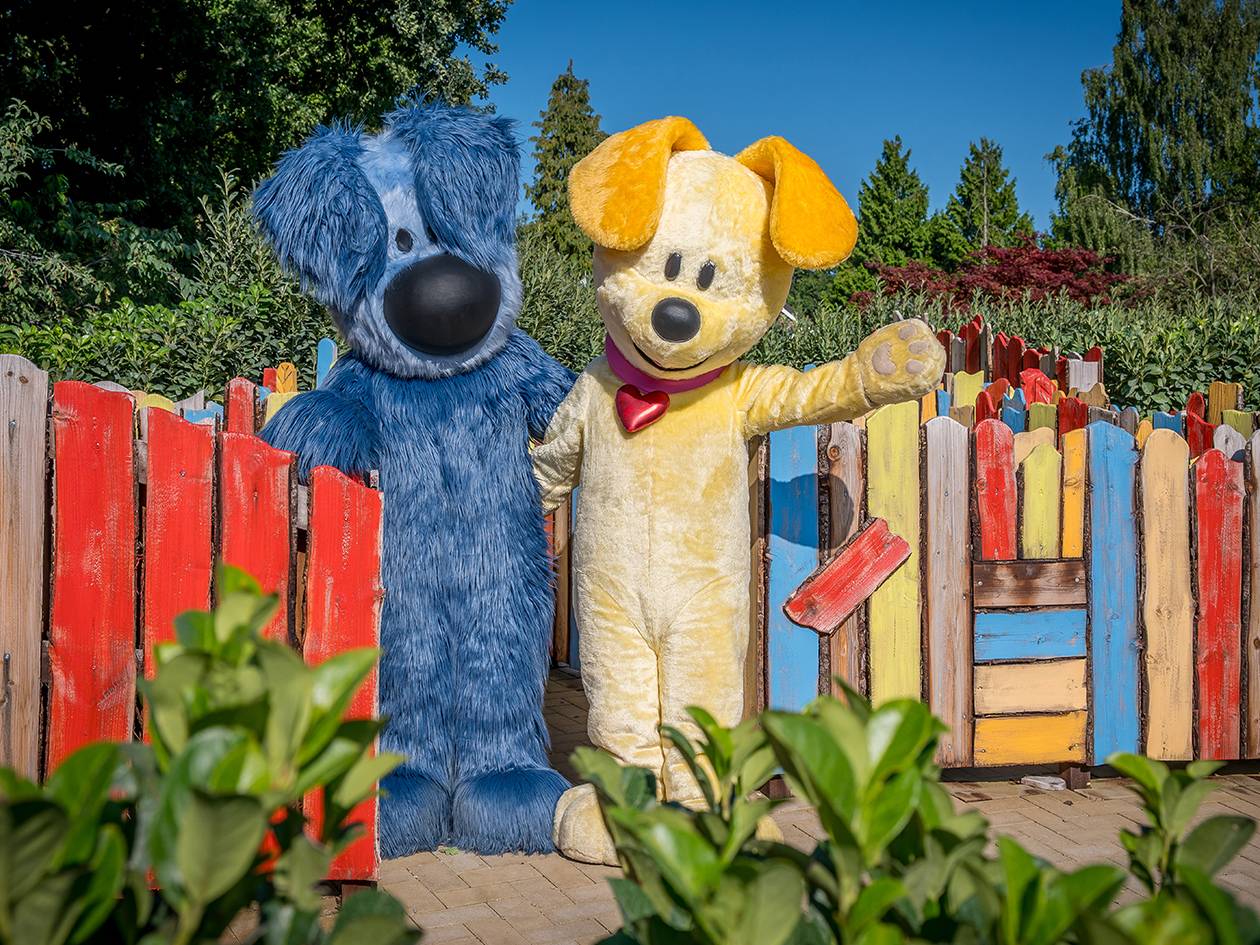 Twee hondenmascottes, een blauwe en een gele, staan achter een kleurrijke houten omheining.