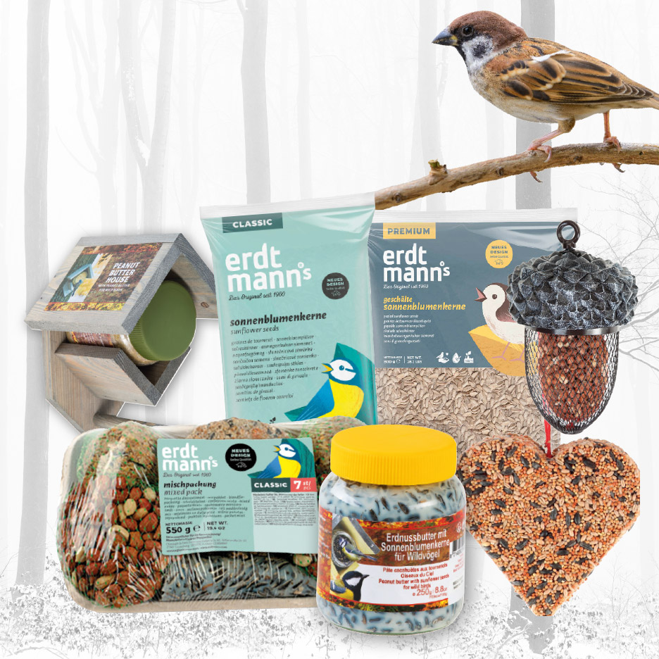 Een assortiment Erdtmann's vogelvoer, waaronder zonnebloempitten, gemengd voer, pindakaas en een vogelhuisje, met een mus op een tak.