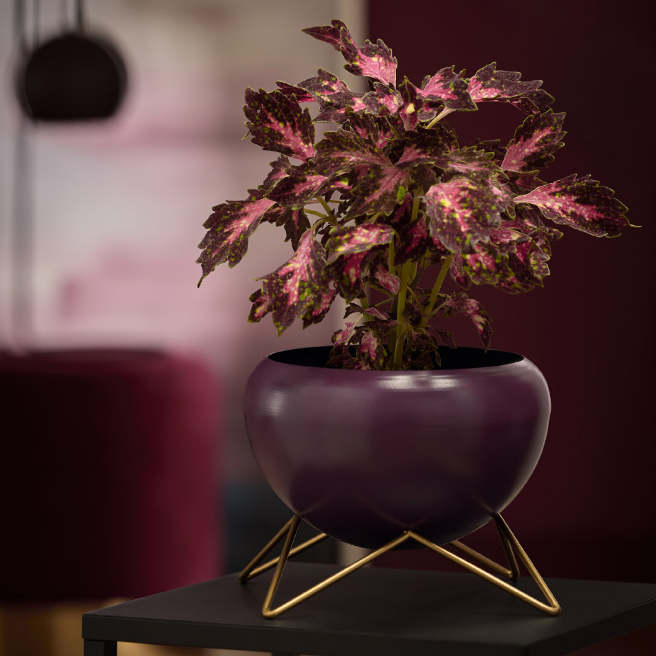 Paarse plant in een paarse pot met gouden standaard op een zwarte tafel.