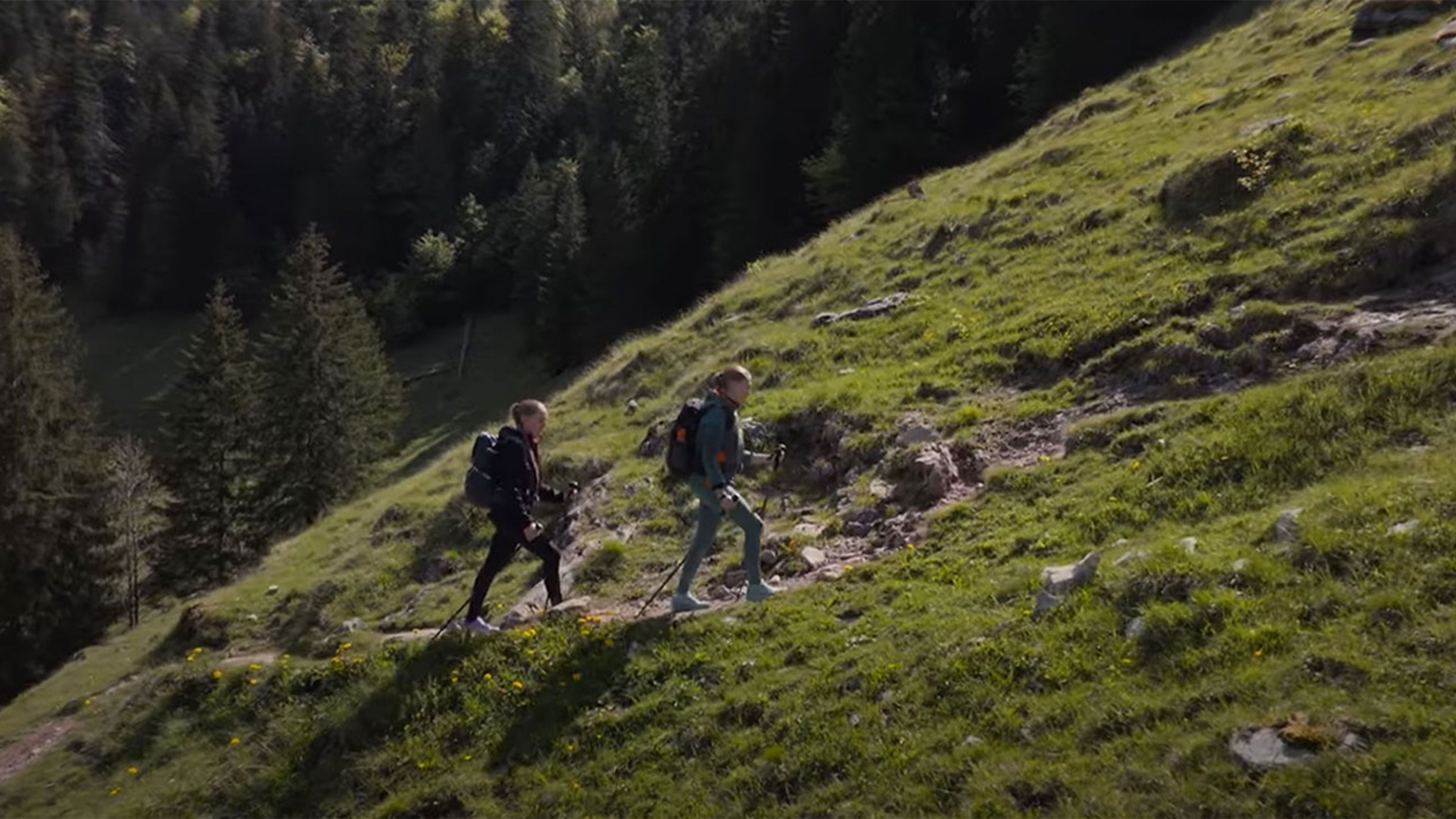 Twee wandelaars met rugzakken lopen een bergpad op.