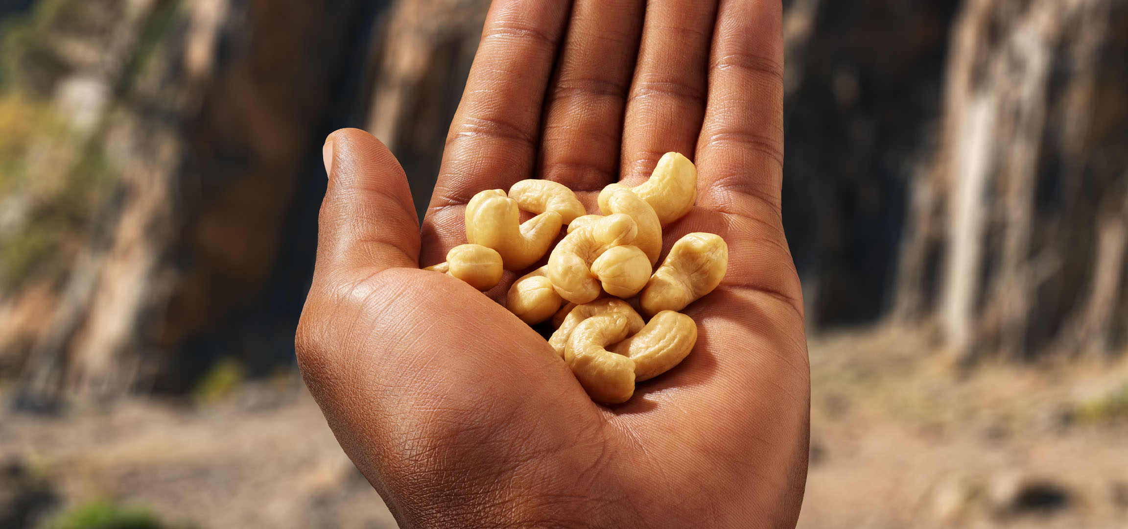 Handvol cashewnoten in een handpalm tegen een vage achtergrond.
