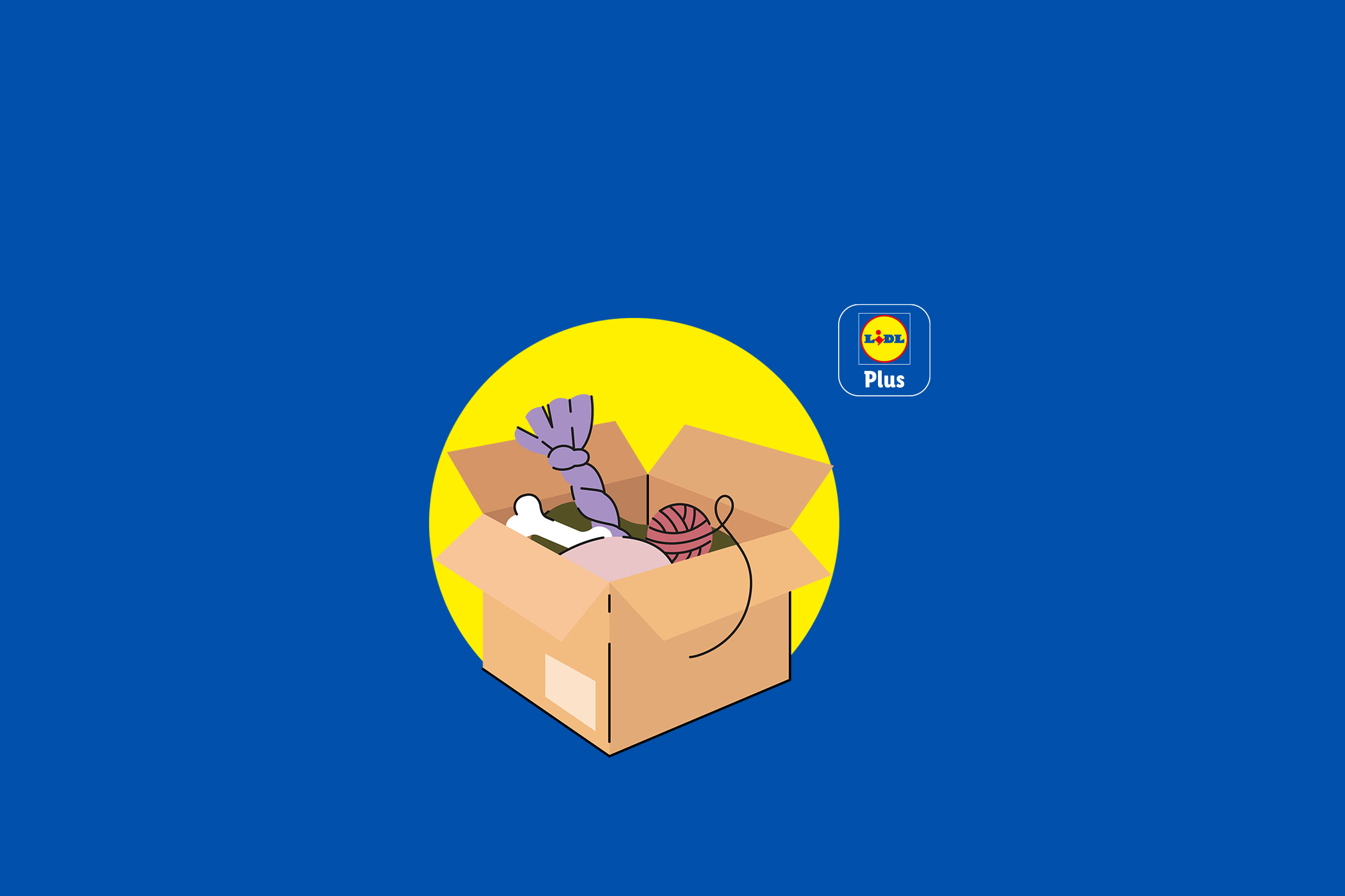 Kartonnen doos gevuld met huisdierbenodigdheden zoals een bot, touwspeeltje en garen, op een blauwe achtergrond.