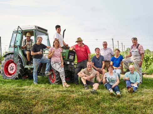 Een groep mensen, sommigen op en rond een tractor, in een wijngaard.