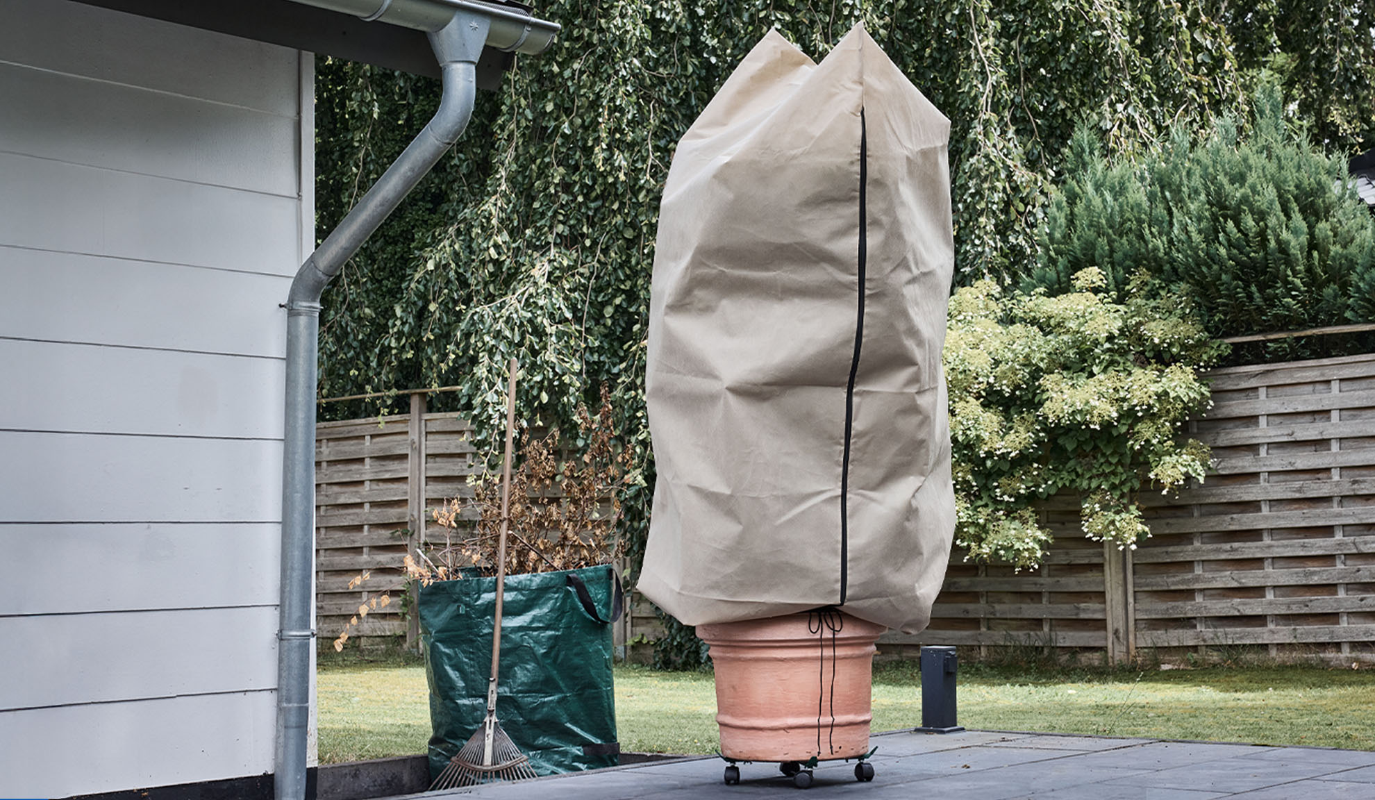 Plantenhoes op een potplant op een terras met regenpijp en hark.