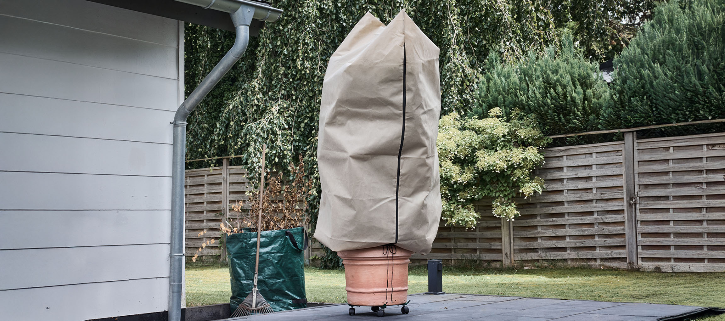 Potplant met winterbeschermhoes op een terras naast een huis.