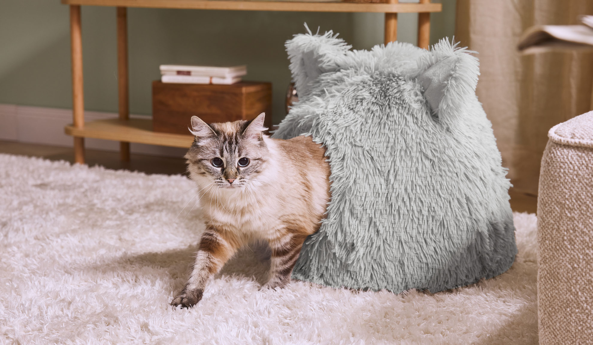 Kat komt uit een grijs pluizig bed op een wit vloerkleed.